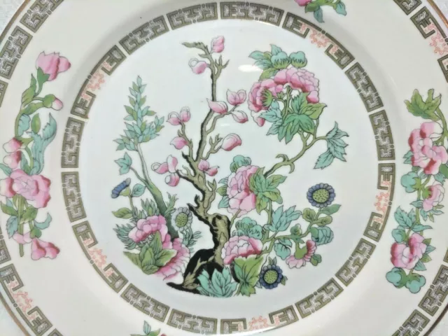 2 Salad Plates Center Tree w/ Pink Blue Flowers 8” O.P. Co. Syracuse China Gold
