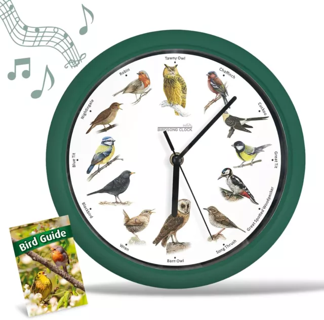 Starlyf Birdsong Clock - Orologio a Parete con 12 Suoni Reali di Uccelli