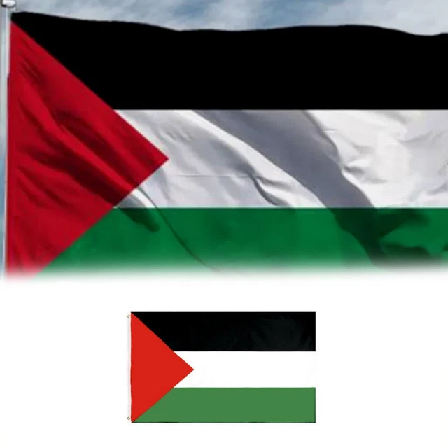 Broches Drapeau Palestinien - Lot De 10 Pièces En Alliage, Symbole De Soutien Et De Paix