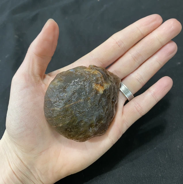 Rare Rough Botswana Agate whole nodule “THE LITTLE LUMPER” 5.3 Ounces B1 3
