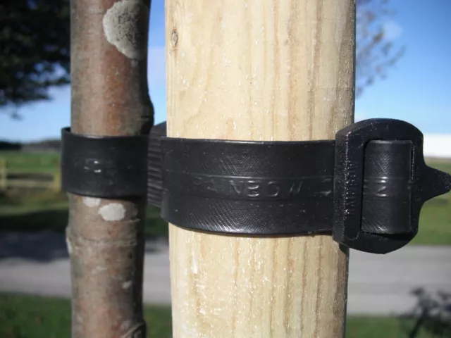 Rubber Buckle Tree Tie Support Flexible Plant Strapping - Multi Sizes