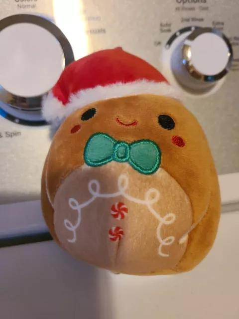 https://www.picclickimg.com/mzcAAOSwKGBlNUI0/Squishmallows-Original-Jordan-The-Gingerbread-5-Plush-Christmas.webp