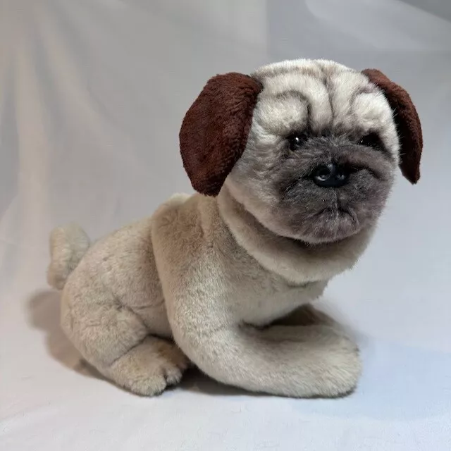 Pug,(Carlino) stuffed, standing, purchased in Florence, Italy
