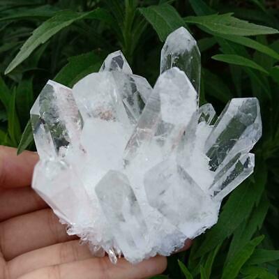 Natural Clear Cluster Crystal Quartz Healing Specimen Mineral Reiki .
