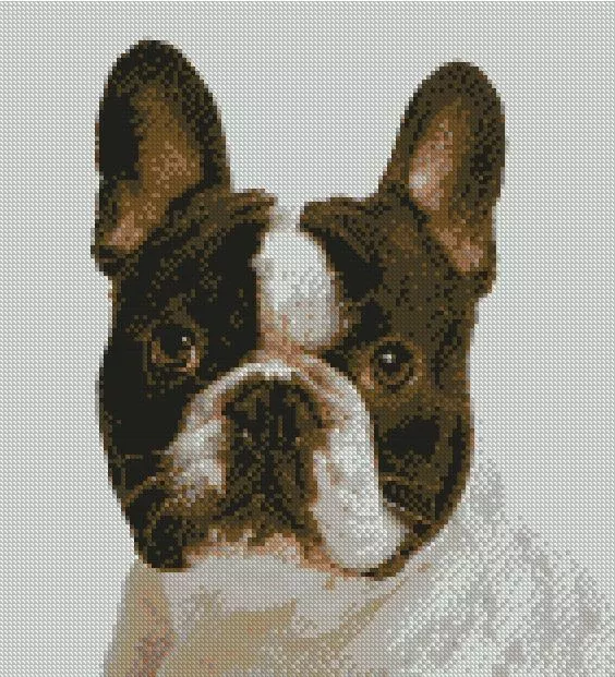 French Bulldog  Puppy Counted Cross Stitch Kit 10" x 11"   25.5 cm x 28cm D2441