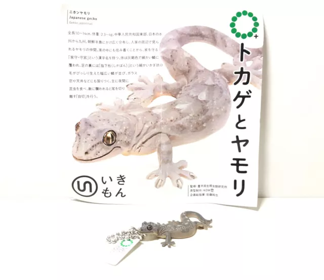 Kitan Club Nature Techni Colour Japanese Gecko Lizard Keychain Figure B