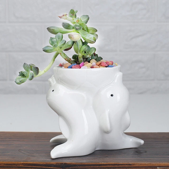 Vaso rettangolare Coimbra Colour da esterno e giardino per fiori e piante / 30 cm / Cedro