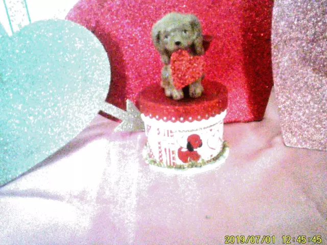 Bethany Lowe-Valentine-Bethany Lowe-Puppy Love On Box Figurine  6-12/"H.new-2022