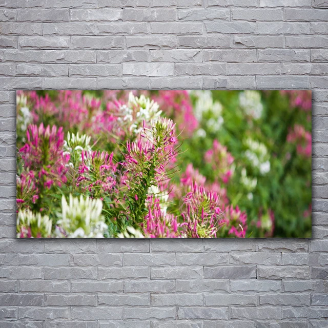 Tableau Toile Impression Floral 100x50 Cm - Thème Fleurs, Rose, Style Moderne, Neuf