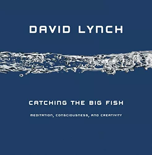 Catching the Big Fish: Meditation, Consciousness and... by Lynch, David Hardback