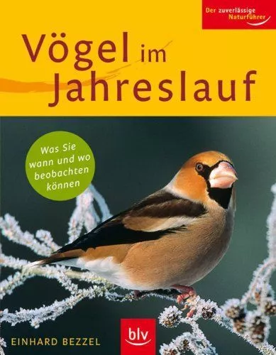 Vögel im Jahreslauf was Sie wann und wo beobachten können Bezzel, Einhard: