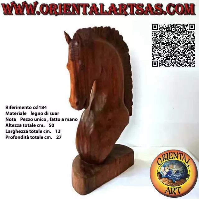 Scultura testa di cavallo in legno di suar scolpita a mano da un unico blocco .