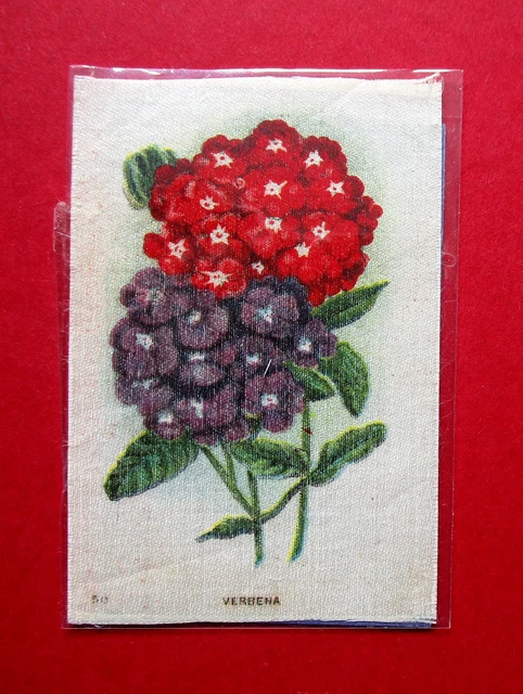 IMPERIAL TOBACCO CANADA  ANTIQUE 1913  GARDEN FLOWERS SILK  No 50  VERBENA