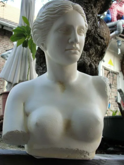 Büste Venus Von Milo Frauenbüste Kopf Figur Frau Stuckgips Säule Deko Crem 2055