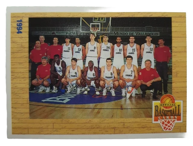 Carte Panini 1994 Mike Schlegel - Pau Orthez - LNB Pro A France #107
