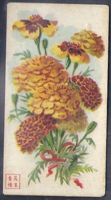 American Cigarette Co. (China)-Flowers-#41- Scarce Card!!!