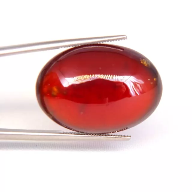 Shola Real 43,38 CT Natural Deep Orange Red Hessonit Garnet Giant Ceylon