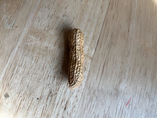 3 nut peanut *RARE* *ONE OF A KIND*