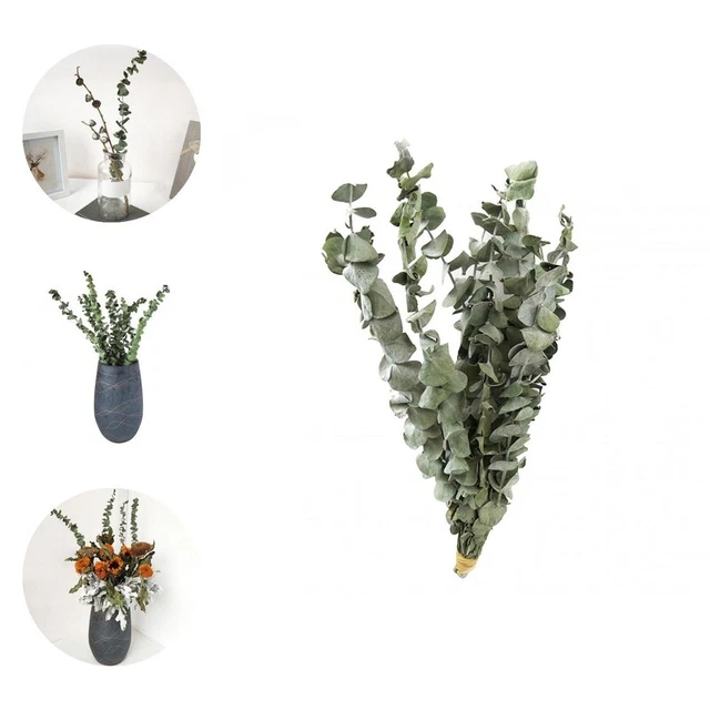 10 piezas/ramo de flores eucalipto deja ramas reales vivas