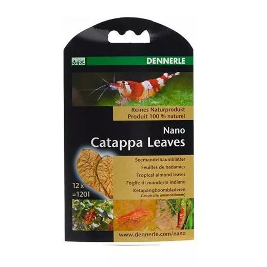 Dennerle Nano Catappa Leaves - 12 feuilles