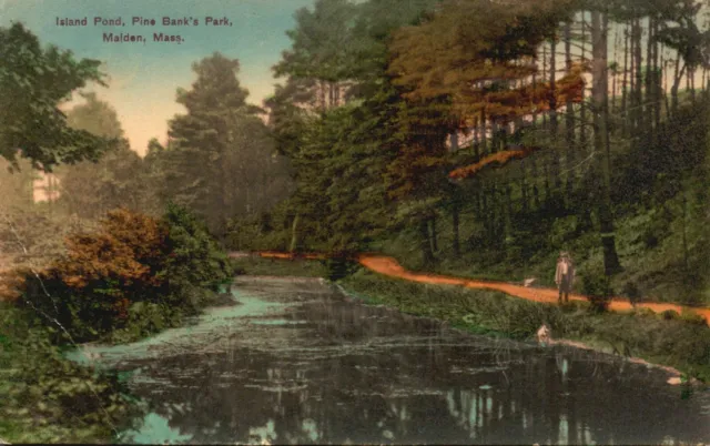 Postcard MA Maiden Mass Island Pond Pine Banks Park 1911 Vintage PC f7553