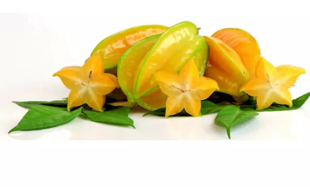 Star Fruit (Averrhoa carambola) rare organic exotic tropical tree seed  5 SEED