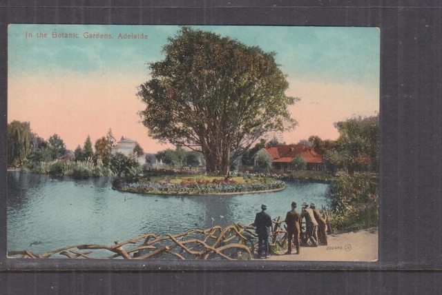 SOUTH AUSTRALIA, ADELAIDE, BOTANIC GARDENS, c1910 ppc., unused.