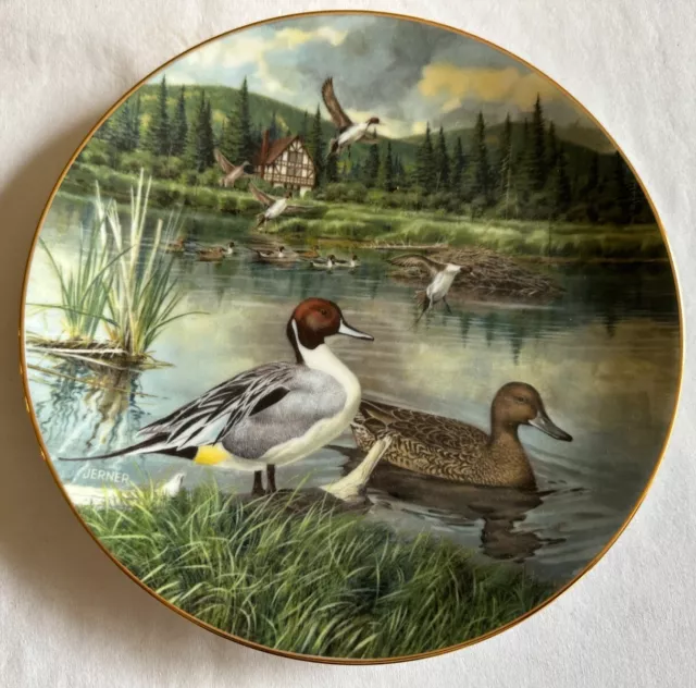 Edwin M Knowles China Company Wood Duck, Pintail and Mallard plate. 8.5 inches