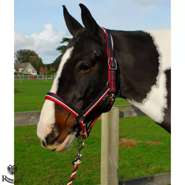 Padded Striped Headcollar & Rope Set by Rhinegold  SHETLAND  Anatomically Shaped