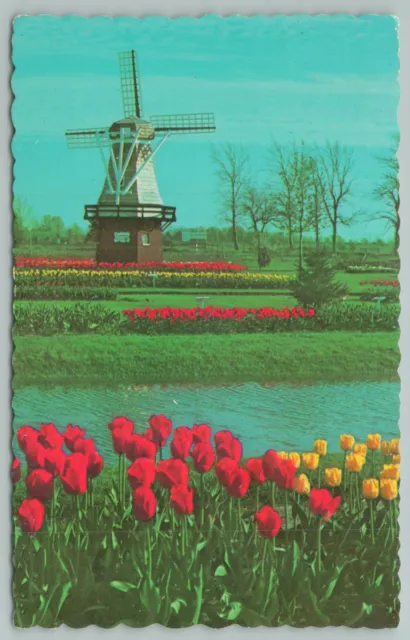 Holland Michigan~Tulip Farms Aerial View~Vintage Postcard