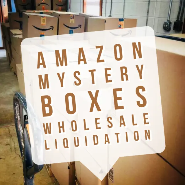 $250 MSRP Amazon Liquidation Boxes Reseller Pallet Treasures Overstock & Returns