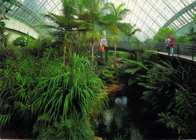 L3157 Australia SA Adelaide Botanic Gardens postcard