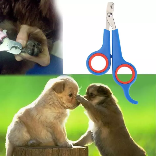 Forbici per unghie SupportsHelp, acciaio inox, per cani e gatti, blu -de
