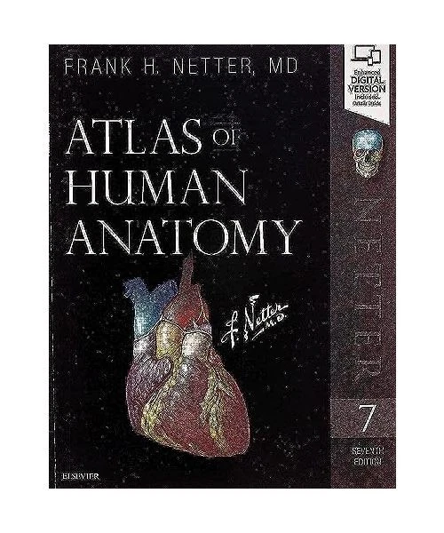 ATLAS OF HUMAN Anatomy, Frank H. Netter EUR 74,75 - PicClick FR