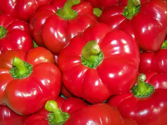 30+ Graines de Poivron tomate 'Topepo Rosso' Sweet Pepper seeds