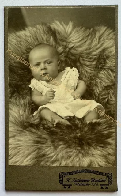orig. CDV Foto Fotografie Bild alt Kind Kinder Mode um 1890 Münster Elsass