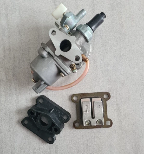 Carburatore Minimoto Minicross Atv Miniquad Originale