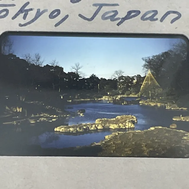 Vintage Original 35mm slide 1954 Tokyo Japan Habiya Park Kodachrome #523