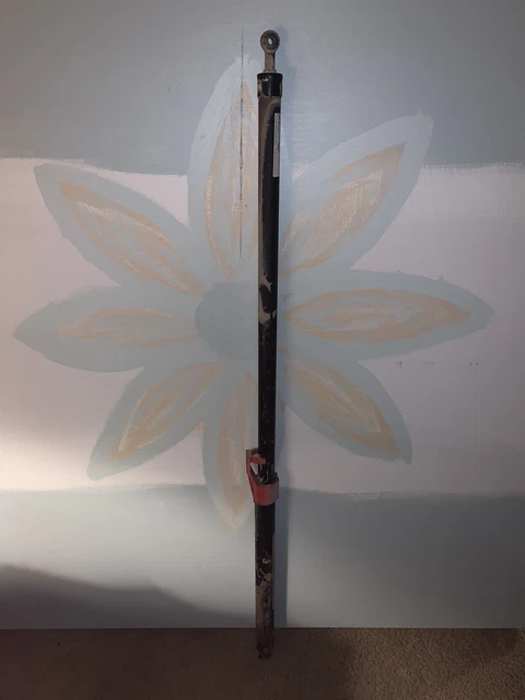 Kenworth Locking Assist Hood Strut