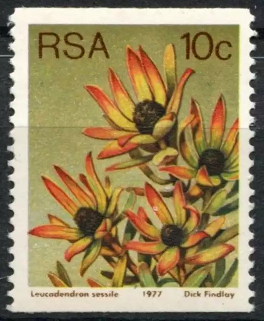 South Africa 1977-82 SG#434 10c Proteas, Plants Definitive MNH Coil Stamp #E9028