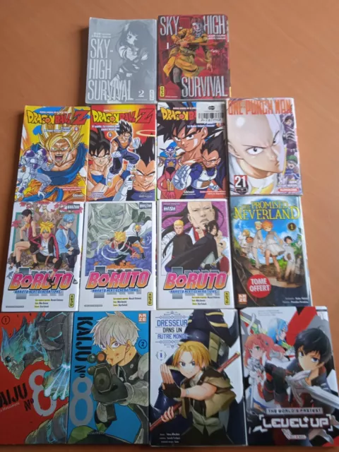 Lot de 14 Mangas