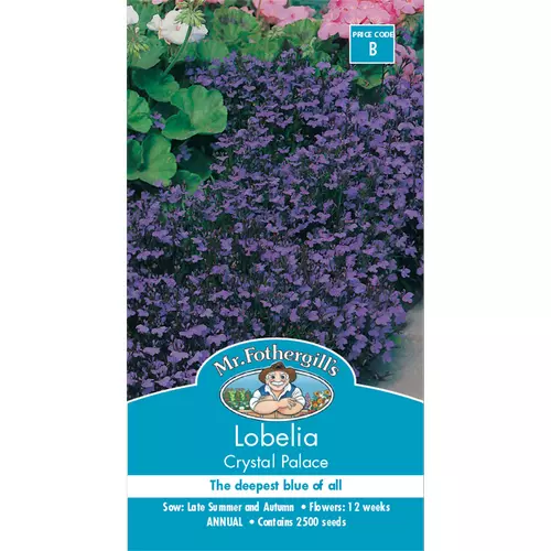 Mr Fothergill's Lobelia Crystal Palace 2500 Seeds Free Postage