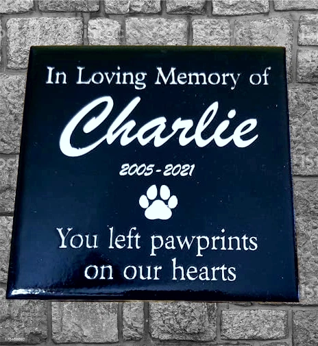 Cat or Dog Memorial Stone Custom Engraved | Pet Sympathy Gift