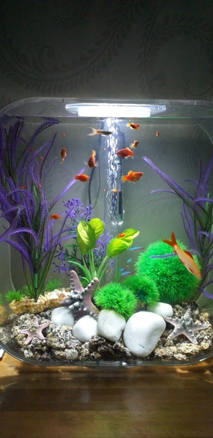 BI ORB. LIFE 30 Aquarium with Multi Colour LED light - remote control