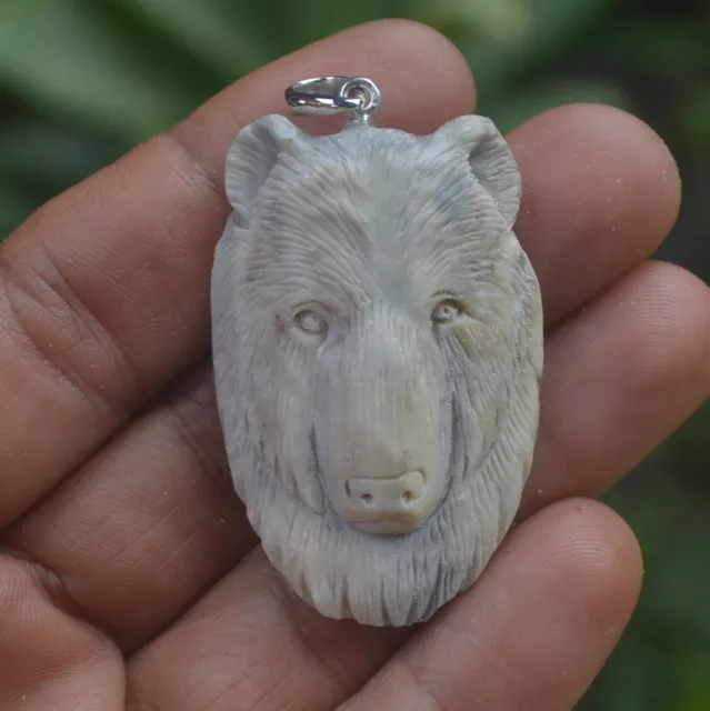 Bear Head Carving 46x31mm Pendant P5725 with Silver in Antler Hand Carved