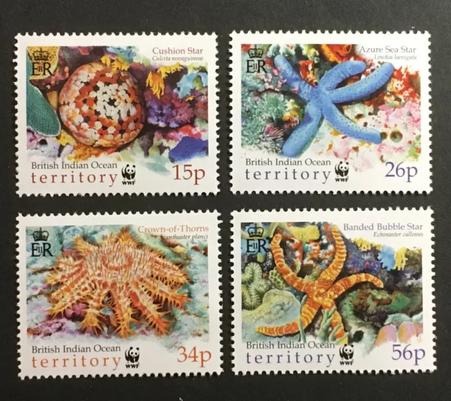 Starfish MNH Set 4 Stamps 2001 British Indian Ocean Territory #231-4 Ocean