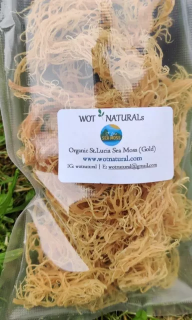 SEA MOSS (Irish moss) 100% ORGANIC  WILD CRAFTED IN ST LUCIA  70g UK  Free P&P