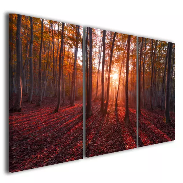 Quadri moderni Warm trees foresta bosco colorato stampa su tela canvas