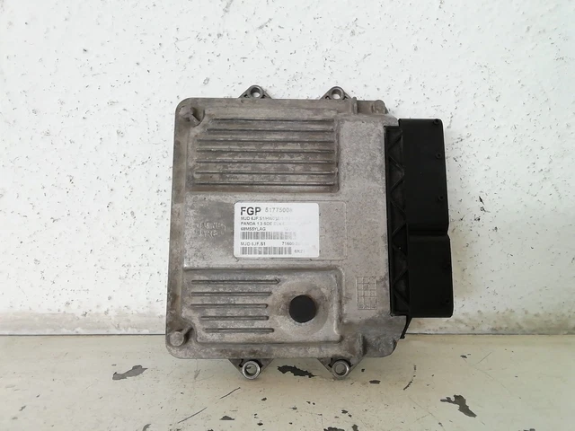 Chip Tuning GS2 Per Fiat Panda 1.2 / GPL (2003-2013) - Aumento Potenza E Coppia, Risparmio Carburante