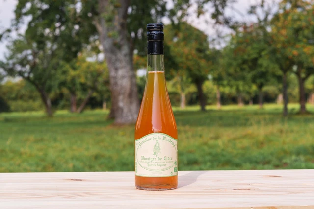 Lot 3 bouteilles vinaigre de cidre AB Bio 50 cl